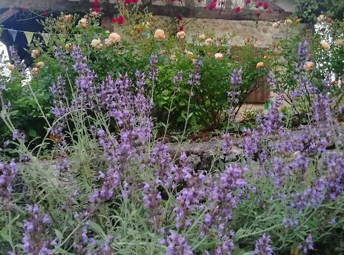 La Roque * Saint-Julien-de-Crempse